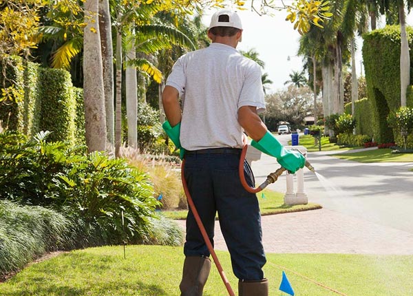 About Annada MO Pest Control